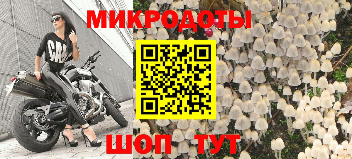 что такое   Галлюциногенные грибы Cubensis  Вход с VPN  Галлюциногенные грибы мухоморы  Будённовск 