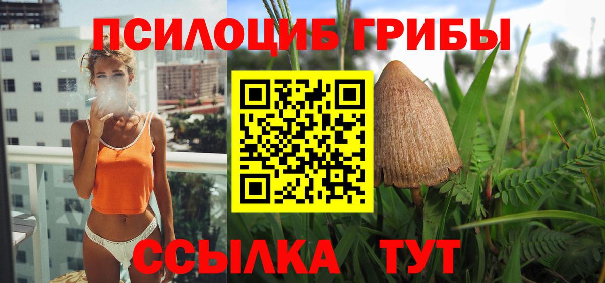 Псилоцибиновые грибы ЛСД Будённовск